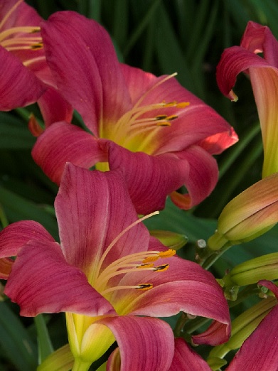 product-54576-1759489423-MO04009UT