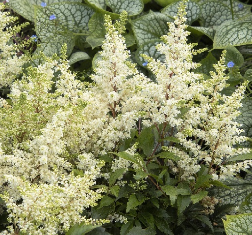 product-54711-1759493532-MO444371