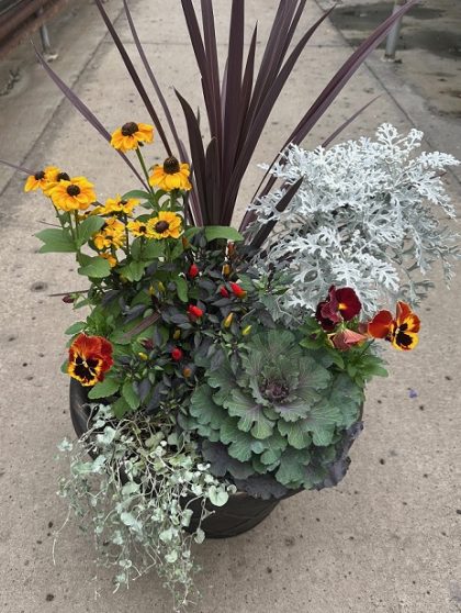 Combination 'Fall Expressions' - 14" Pot
