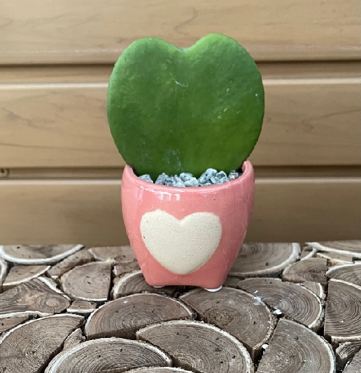 product-62441-1759483866-hoy3