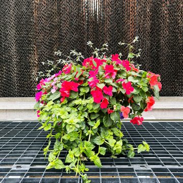 Combination 'Lipstick' - 10" Patio