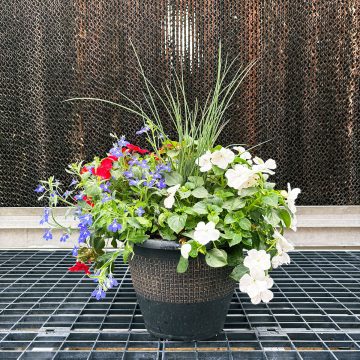 Combination Memorial Day Shade- 10″
