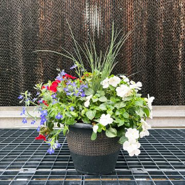 Combination 'Patriotic Shade' - 10" Patio