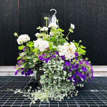 Combination Feelin’ Blue- 14″ Fiber Hanging Basket