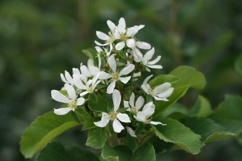 product-70503-1759486241-LN30563