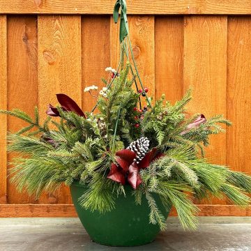 Evergreen Hanging Basket, Burgundy- 12″ Basket