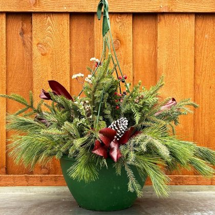 Evergreen Hanging Basket, Burgundy- 12″ Basket