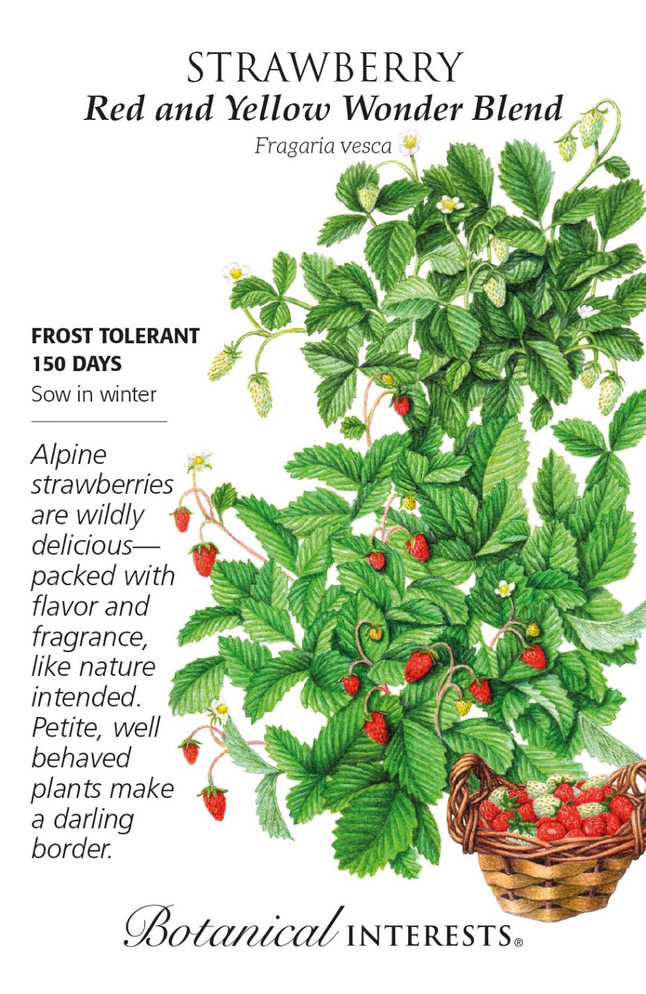 product-77931-1759474844-BI0069