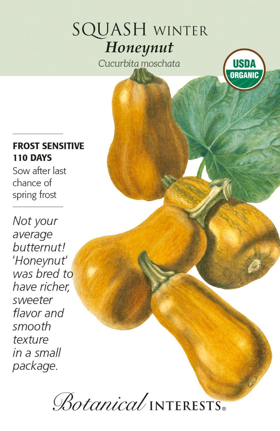 product-77950-1759477898-BI3182