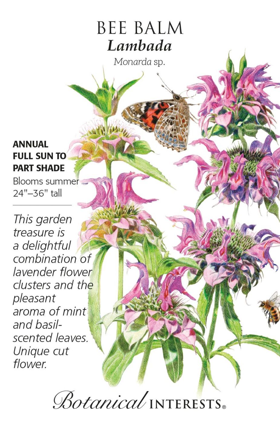 product-77964-1759474873-BI1085