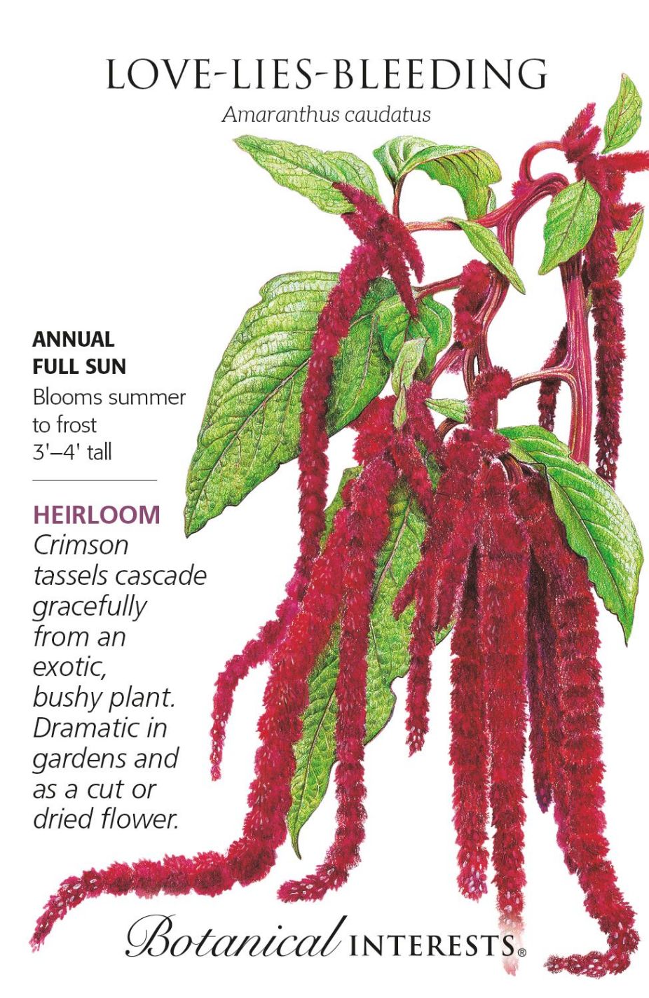 product-77965-1759474887-BI1190