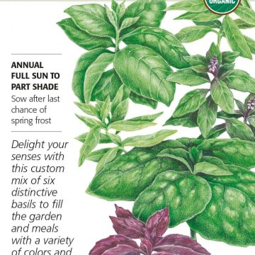 BASIL SIX BASIL BLEND Botanical Interests®