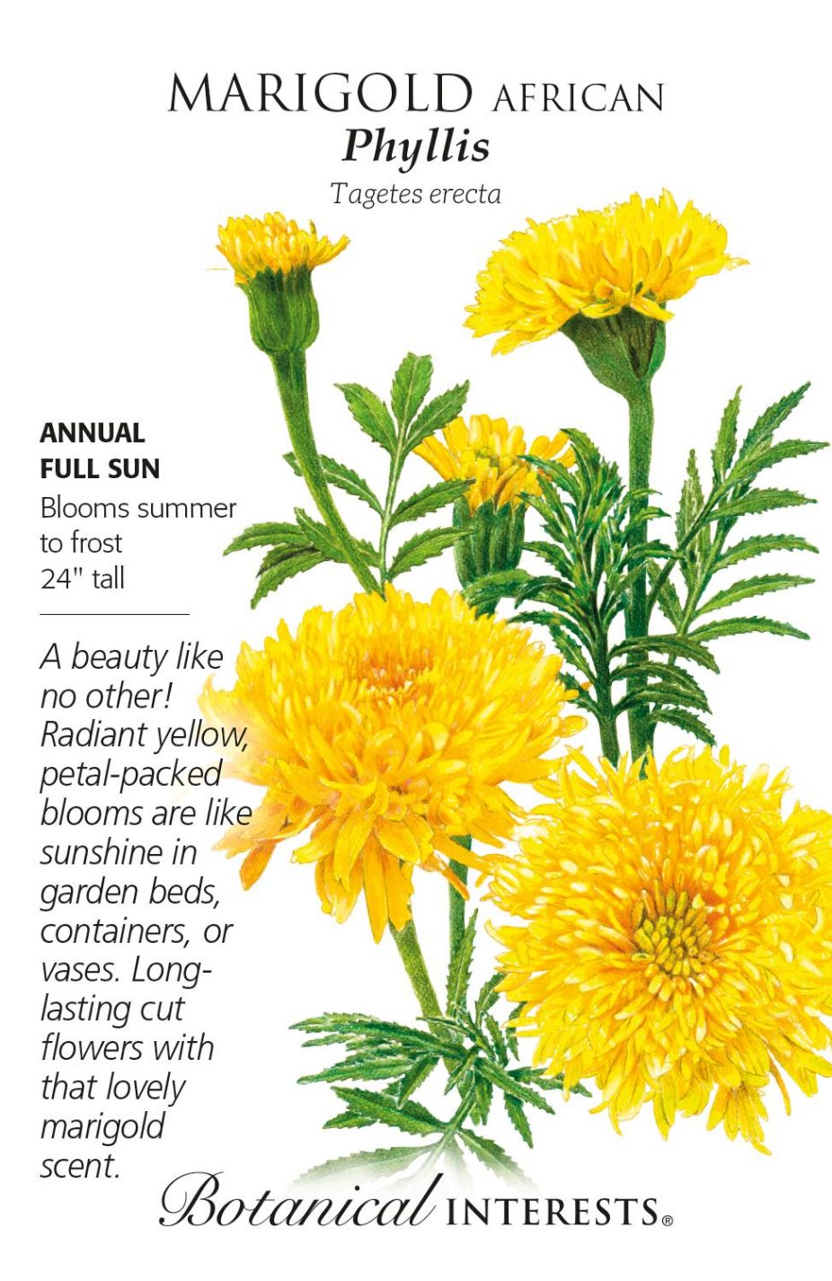 product-77992-1759474897-BI1239