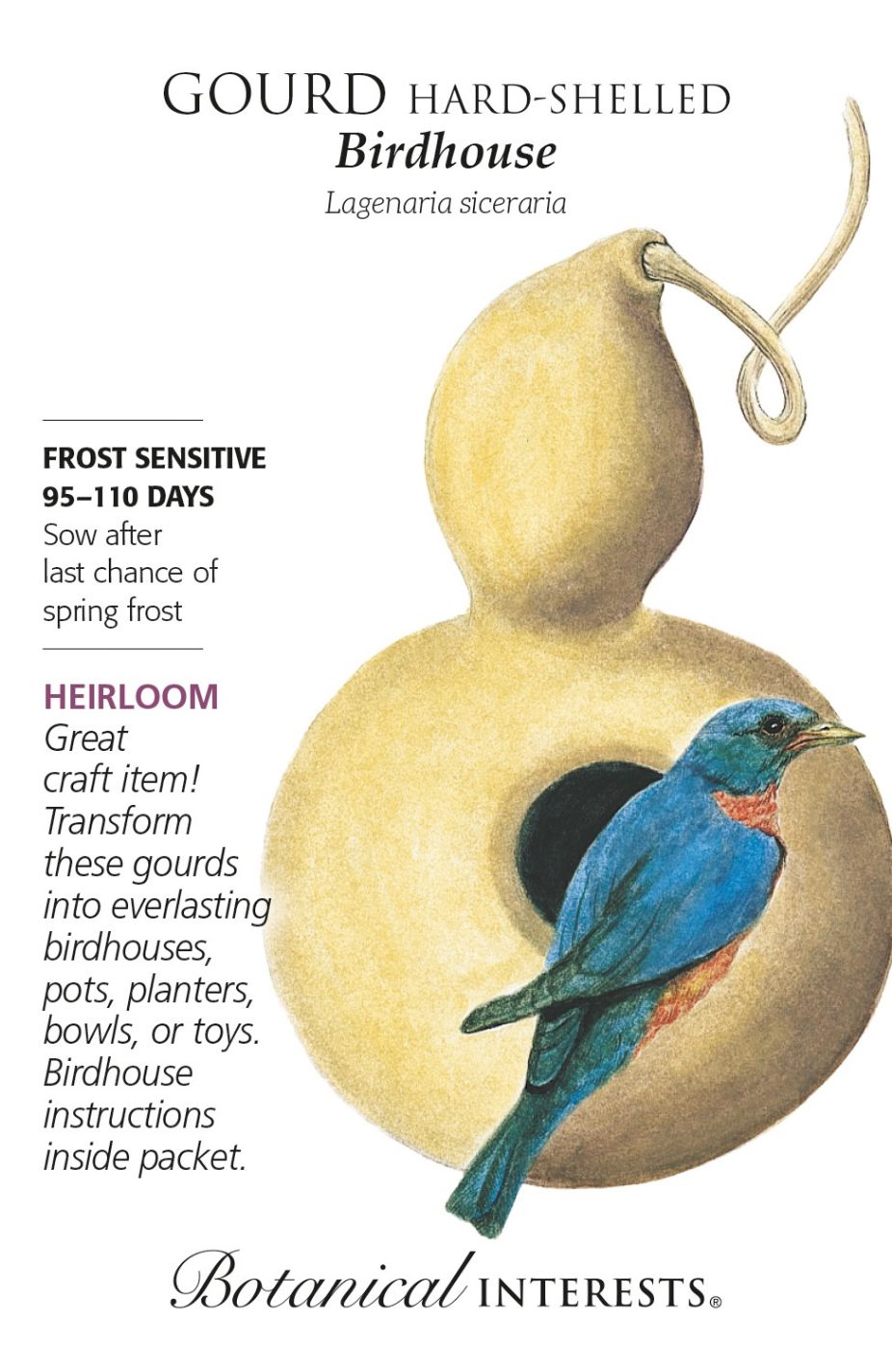 product-77995-1759474905-BI1256