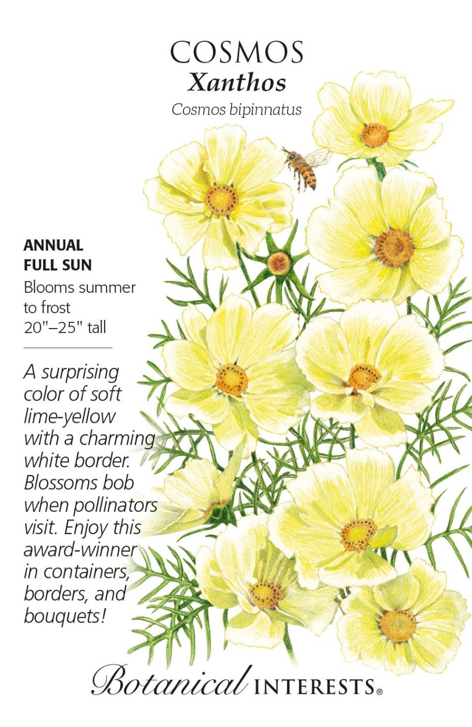 product-77996-1759474907-BI1264