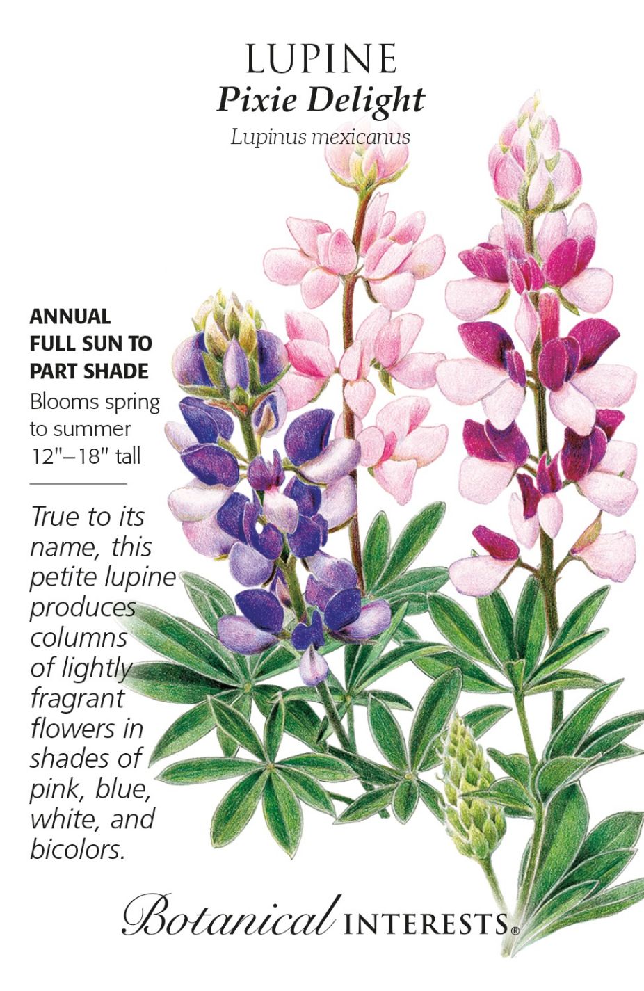 product-77997-1759474913-BI1288