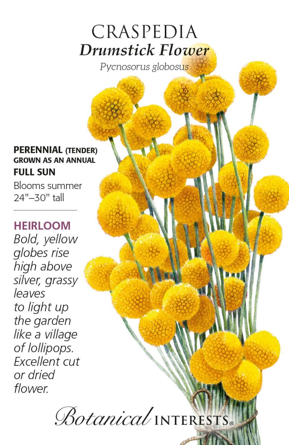 product-77999-1759474930-BI1333