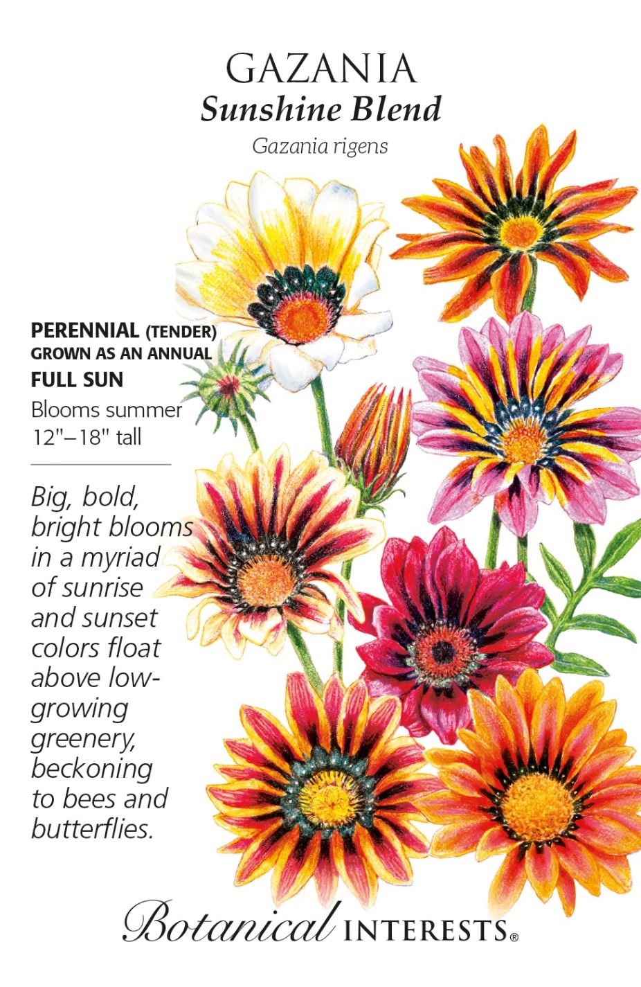 product-78000-1759474932-BI1335