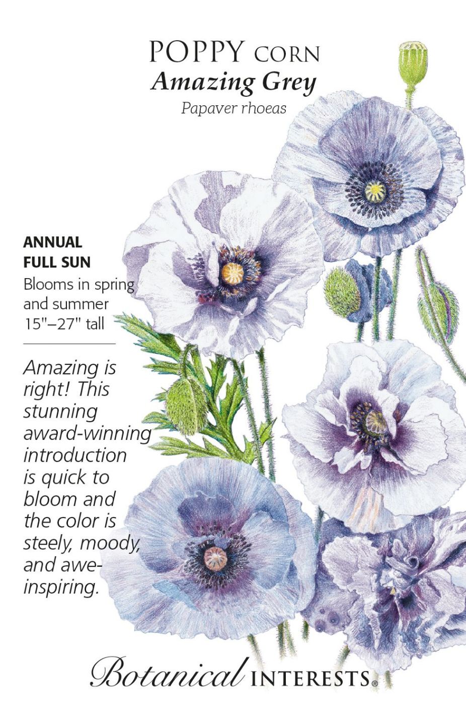 product-78012-1759474909-BI1281