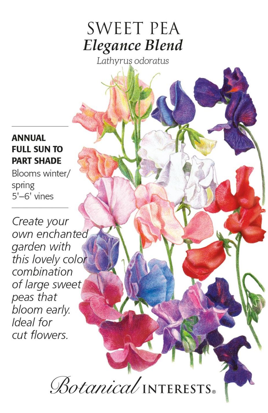 product-78013-1759474926-BI1329