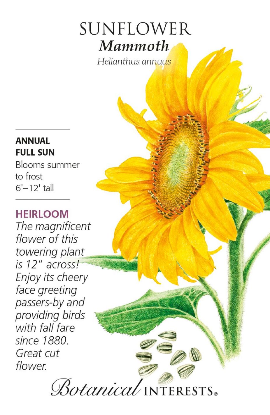 product-78016-1759474867-BI1039