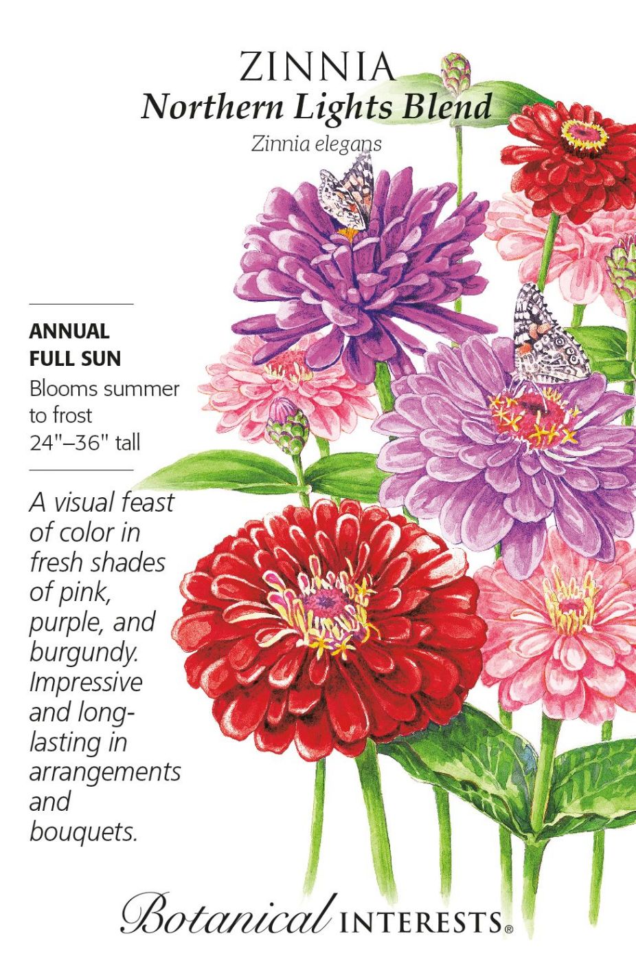 product-78023-1759474915-BI1293