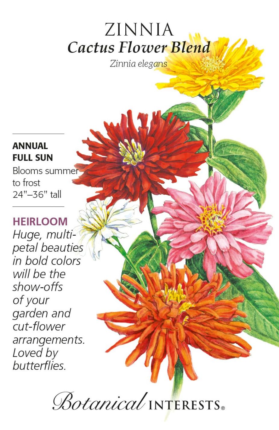 product-78024-1759474919-BI1317