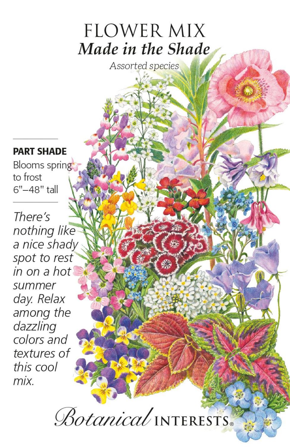 product-78033-1759474951-BI1905