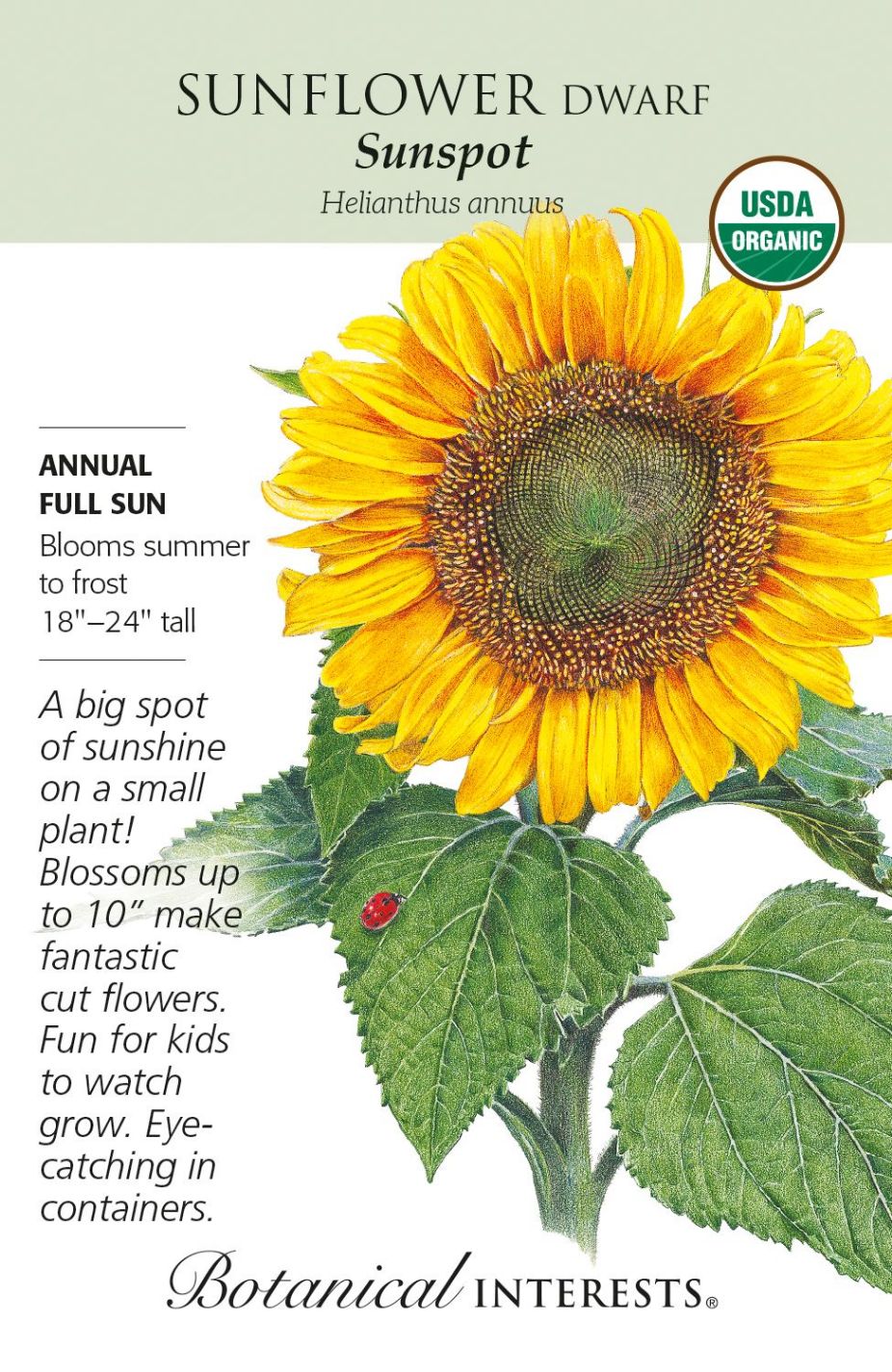 product-78036-1759474961-BI2014