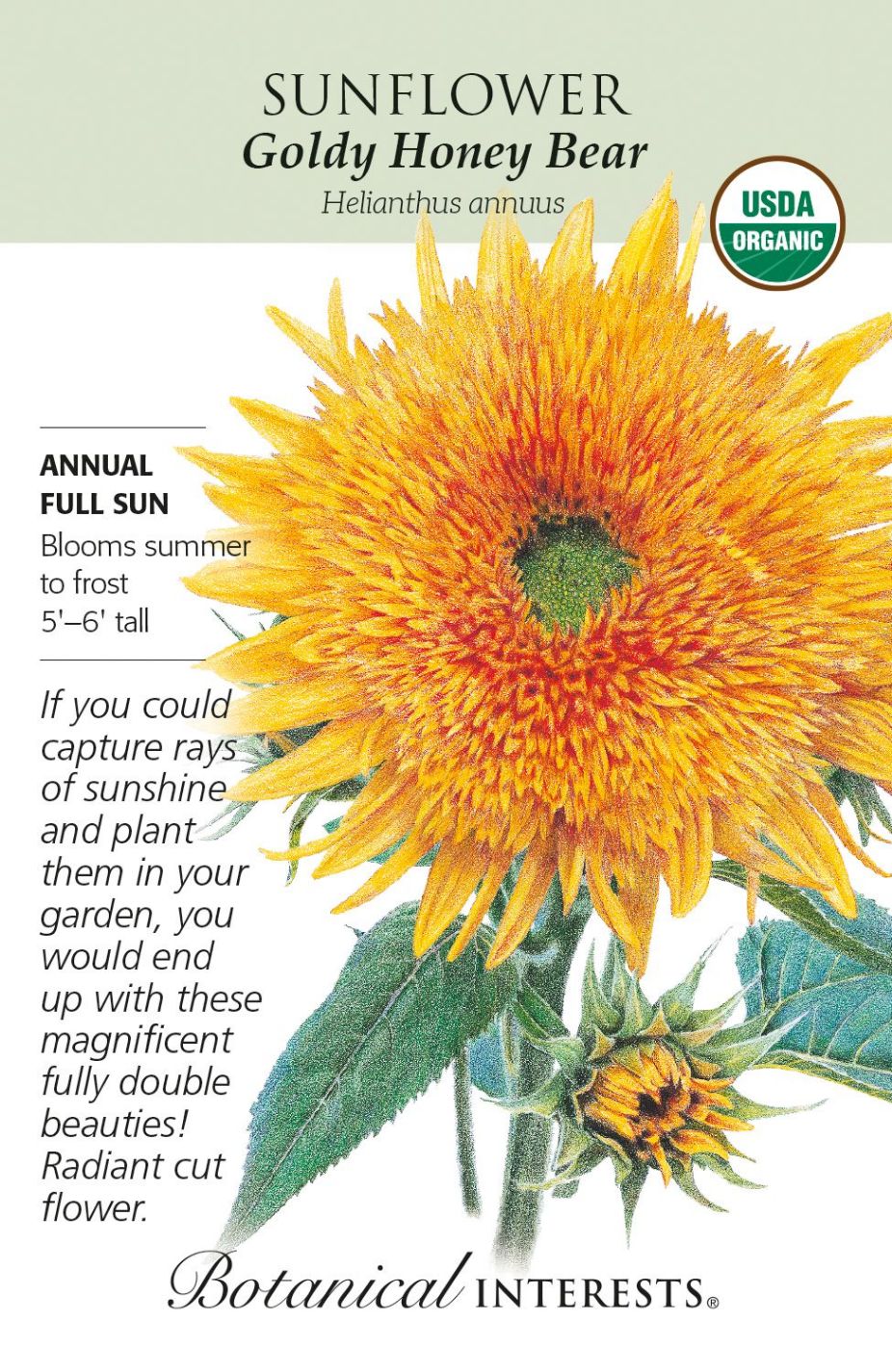 product-78037-1759474963-BI2016