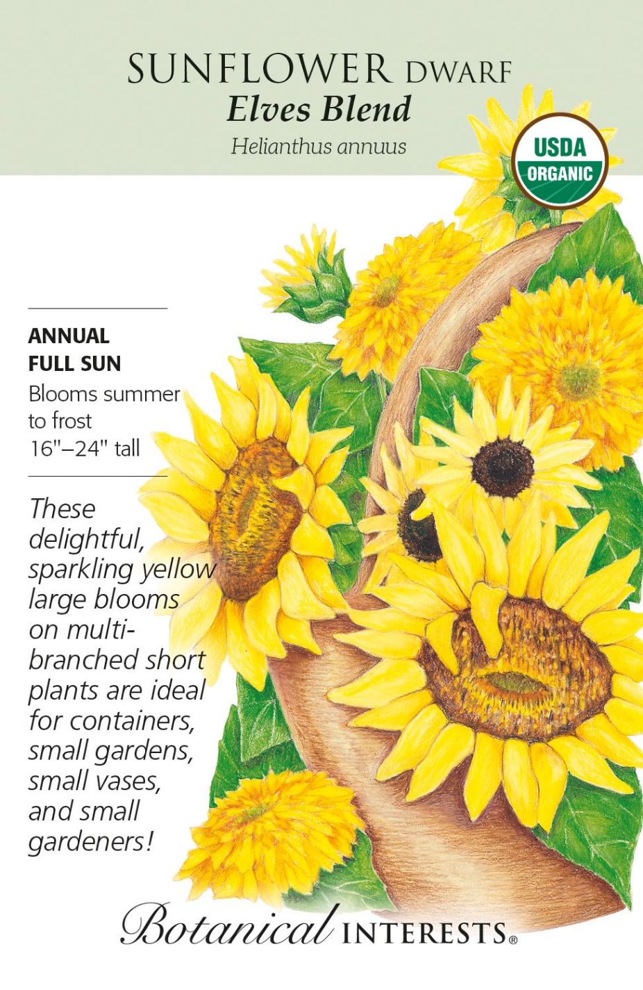 product-78038-1759474965-BI2024