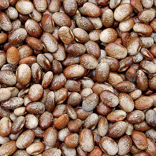 product-78306-1759503072-SSE1515