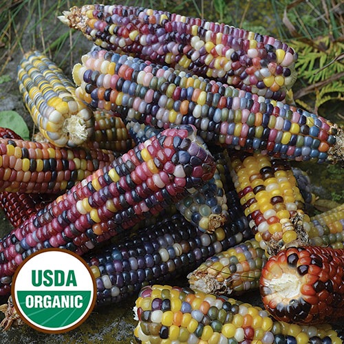 product-78338-1759502468-sse0124a