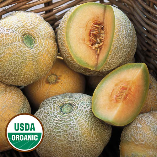 product-78460-1759502515-sse0362a