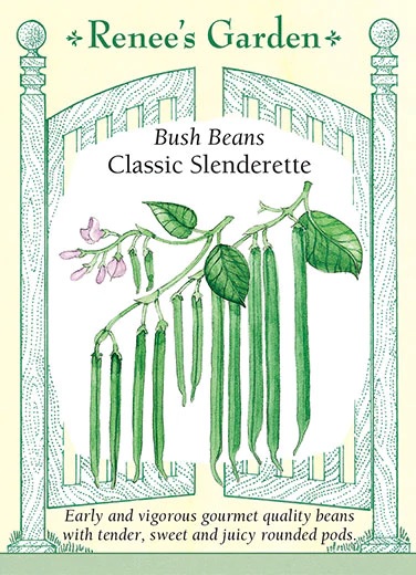 product-78712-1759500031-RG5417