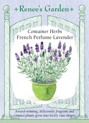 product-79034-1759500604-RG5832