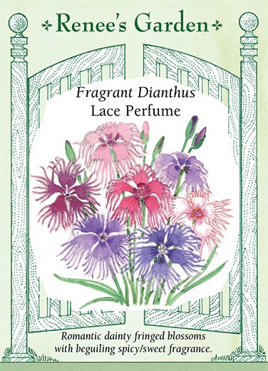 product-79119-1759500621-RG5872