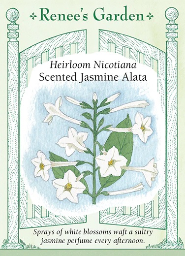 product-79198-1759499537-RG5132