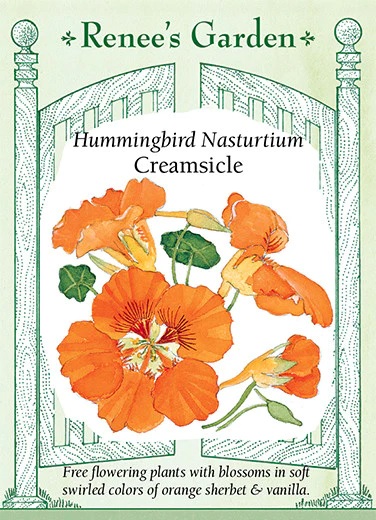 product-79200-1759500009-RG5303