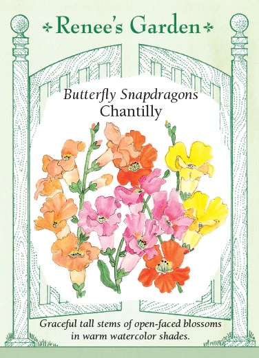 product-79264-1759500024-RG5369