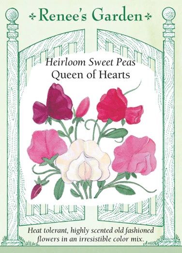 product-79297-1759499541-RG5148