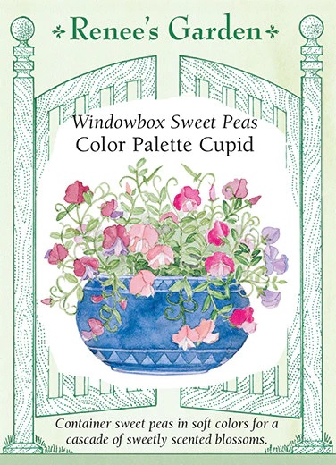 product-79300-1759500007-RG5293