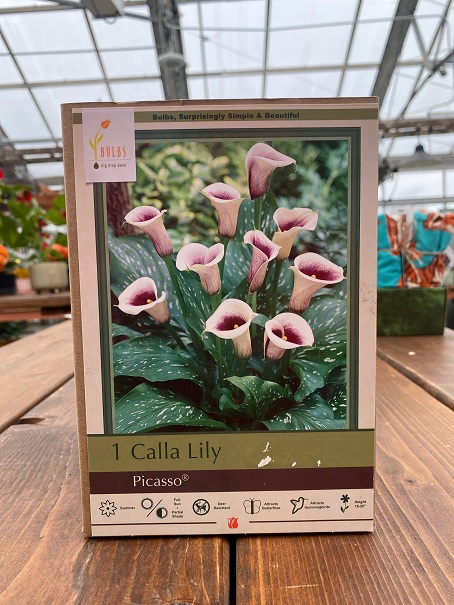 product-80234-1759496519-NB6220112770