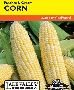 CORN SWEET PEACHES & CREAM HYBRID