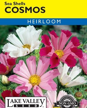 COSMOS SEASHELLS MIX