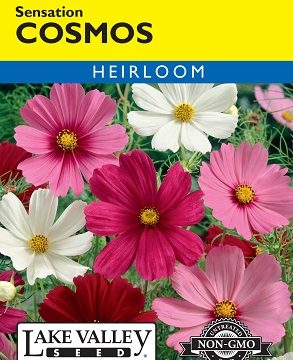 COSMOS SENSATION MIX