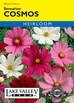 product-83645-1759485648-LKV113