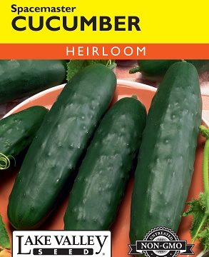 CUCUMBER SPACEMASTER BUSH