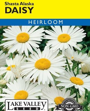 DAISY SHASTA ALASKA