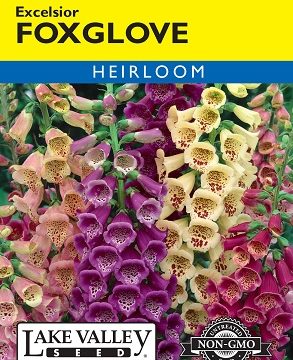 FOXGLOVE EXCELSIOR MIXED COLORS